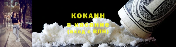 ECSTASY Алзамай