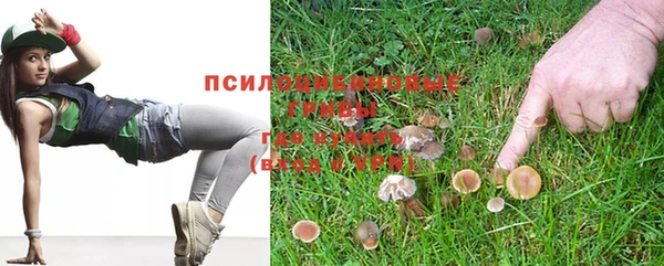 ECSTASY Алзамай