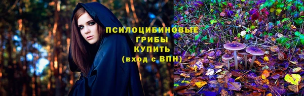 ECSTASY Алзамай