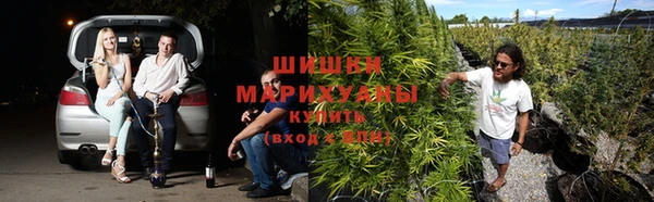 ALPHA PVP Алексеевка